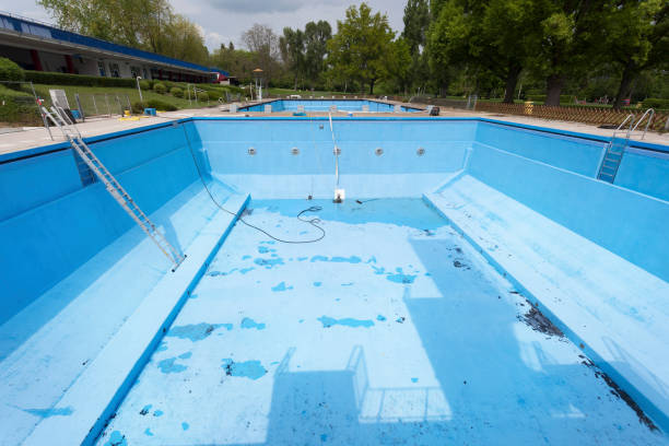 Best Mold removal after water damage  in Clayton, MO