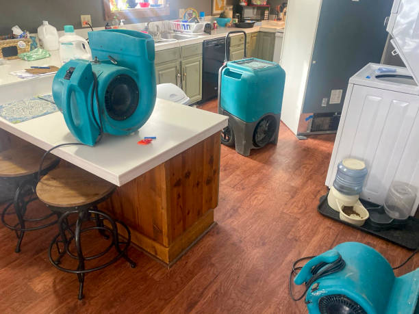 Best Flooded house restoration  in Clayton, MO