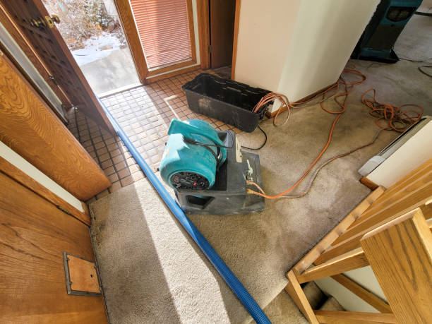 Best Water damage contractors near me  in Clayton, MO