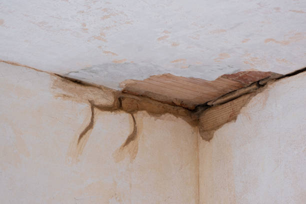 Best Sewage cleanup and water damage restoration  in Clayton, MO
