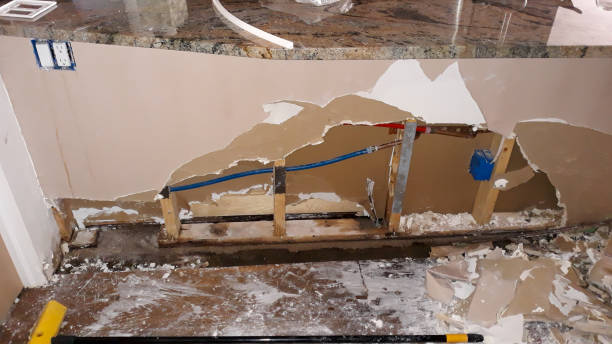 Best Local water damage restoration  in Clayton, MO