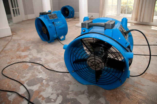 Best Fire Damage Restoration  in Clayton, MO