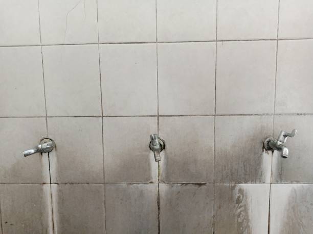 Best Water damage cleanup near me  in Clayton, MO
