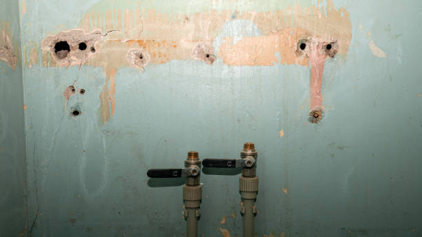 Best Ceiling water damage repair  in Clayton, MO