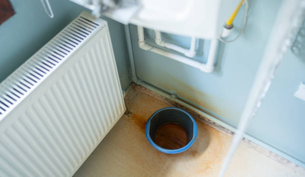 Best Water damage restoration near me  in Clayton, MO