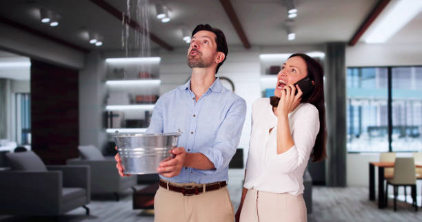 Best Flooded house restoration  in Clayton, MO