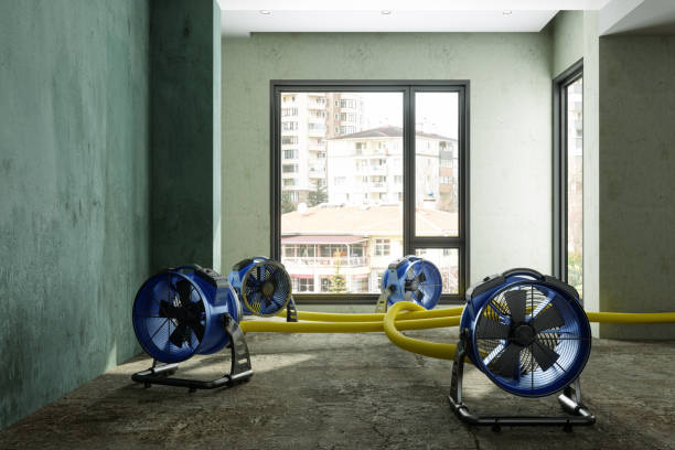 Best Basement water damage restoration  in Clayton, MO