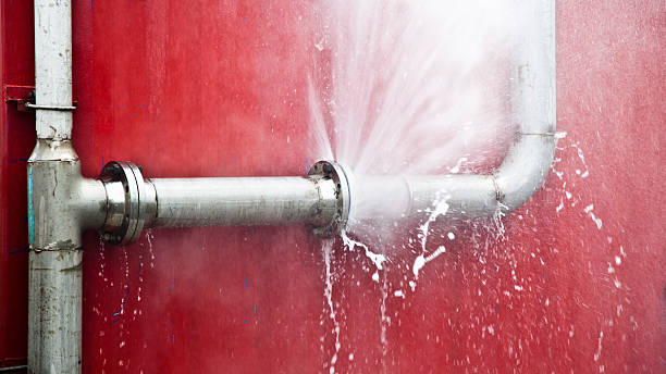 Best Flood damage cleanup  in Clayton, MO